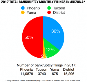Pie chart showing bankruptcy filings in Arizona, Phoenix Bankruptcy Lawyers, Your Arizona Lawyer